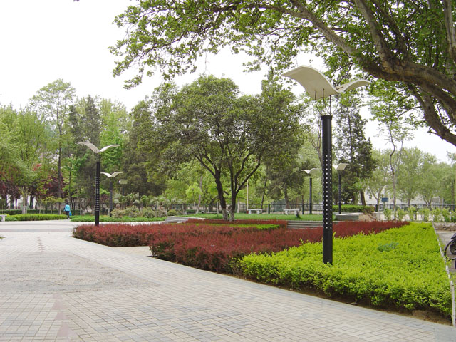雁塔校区风景