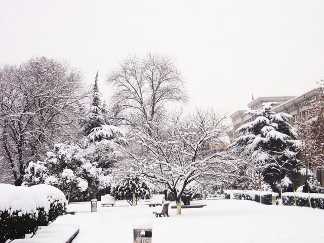 校园雪景